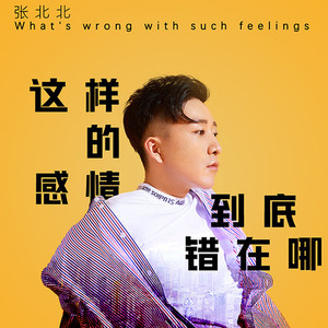 这样的感情到底错在哪 (DJ版)