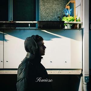 Sowieso (feat. NDA Company)