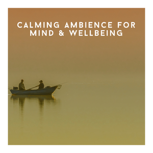 Wellbeing Ambeint Vibrations