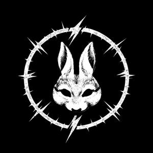 ZwEi HiRnE, EiN cHaOs