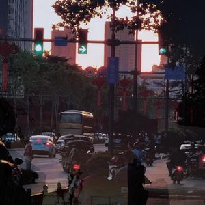 凌晨三点半，一只兔子死在三小时后