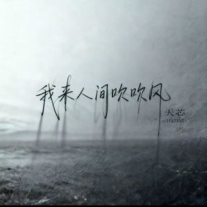 我来人间吹吹风