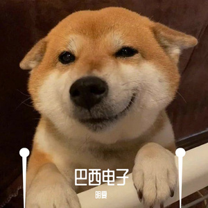 巴西电子（快手版）