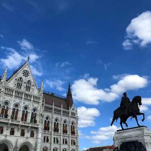 Avicii-SOS（Bourbon9 / 念宸 / HETR remix）