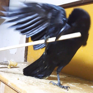 今日も1日ハッピー