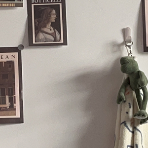 CashTrippy-爱即是药（自信的野玫瑰 remix）