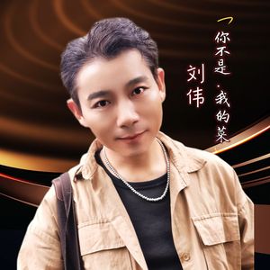 你不是我的菜（伴奏）