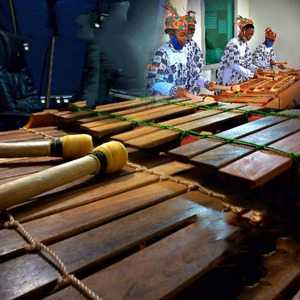 Beethoven(Moonlight sonata)[1st movement][Xylophone]