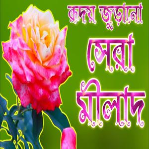 রূদয় জুড়ানো সেরা মীলাদ শরীফ এক বার শুনুন বাঁশির সুরে বাংলা_দরুদ_শরীফ