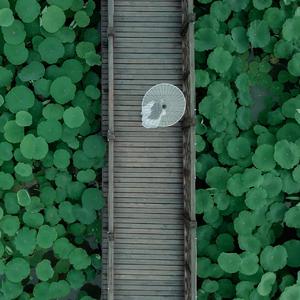 玉堂春(翻自景泰蓝)