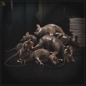 Chillidos de cerdo (feat. Doble A & Demonik LN)