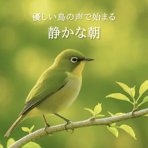 鳥のさえずり