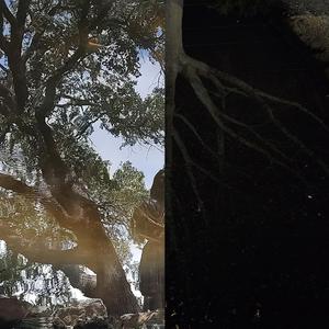 Some Kind of Blue (feat. Drew The Gemini)