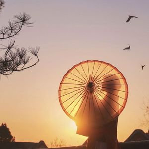 一身诗意千寻瀑（翻自 贰婶）