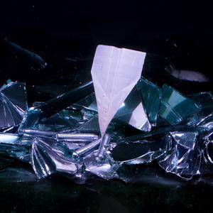 Aposematic