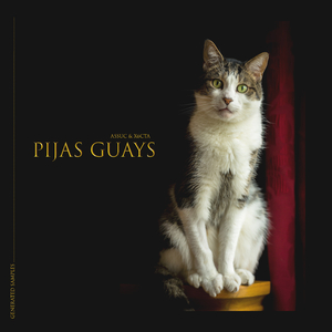 Pijas Guays (Original Mix)