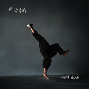 我就是拳皇 伴奏