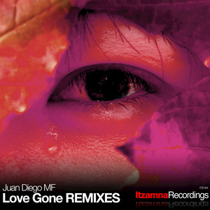 Love Gone REMIXES (Leo Falconi Remix)