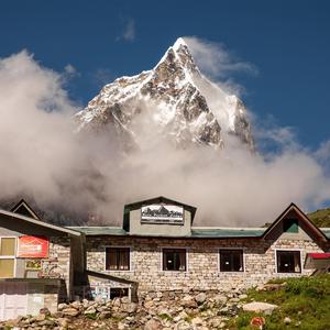 Sad Tamang Selo Dhunwith birds