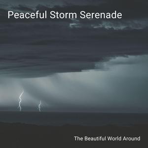 Piano for a RaiPiano for a Rainy Nightny Night