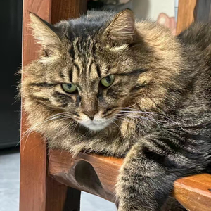 猜猜我有多爱你