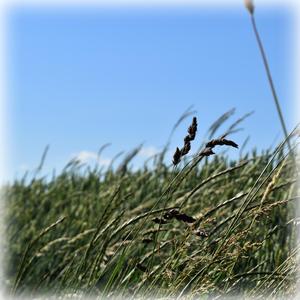 Kocham kiedy jesteś blisko mnie