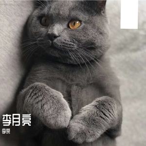 我爱你不问归期-李宗