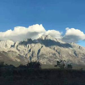 解药（翻自 来一碗老于）