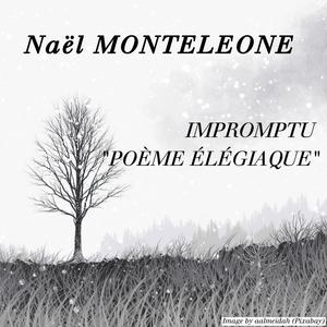 Impromptu No. 1 in G Sharp minor, Op. 6, "Poème Elégiaque"