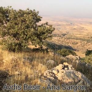 Ana Sargon