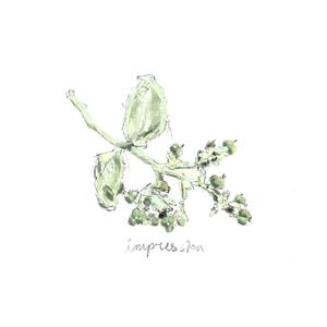 Impression (Stripped)