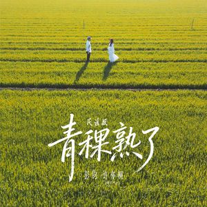 青稞熟了（民谣版）（伴奏）