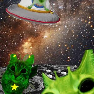 pimmie's dilemma (slowed)