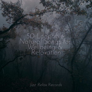 Untamed Rhythm Resurgence