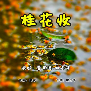 桂花收