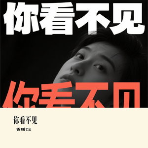 你看不见