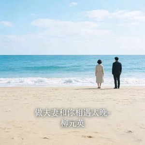 做夫妻和你相遇太晚 (烟嗓版)