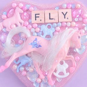 FLY