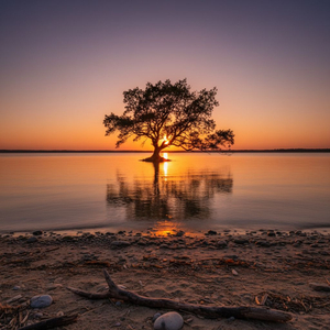 Tre Urat Për Matanën