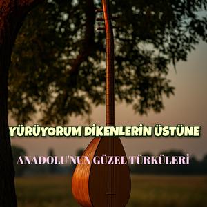 YÜRÜYORUM DİKENLERİN ÜSTÜNE