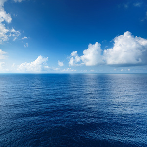 Through The Great Forest