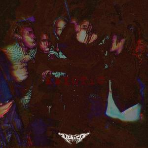 Kayotic (feat. Wave General, Anti. & Fried.)