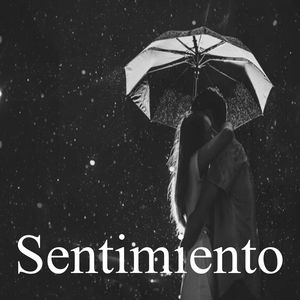 Sentimiento