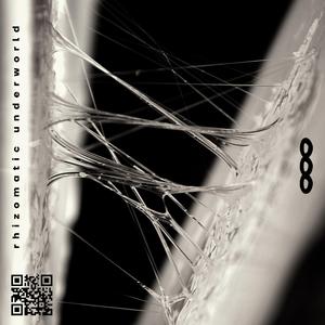 Mycological Decryption (feat. Oblium)