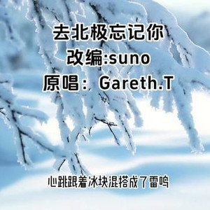 去北极忘记你 (女声版)