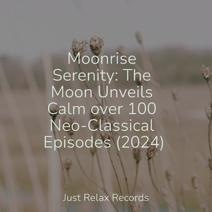 Slumbrous Lull of Grief