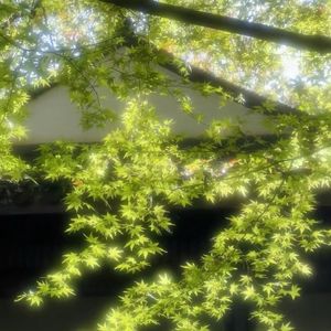 心动电量过低TYGF