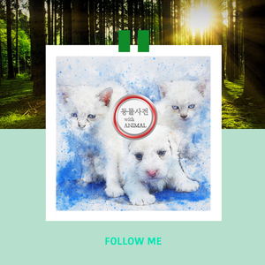 멜버른동물원의 사막여우