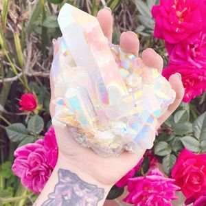 我没有猫，你也没有妈