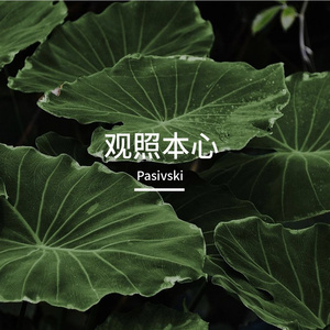 观照本心